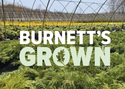 A Spring Visit to Our Farm in Canterbury